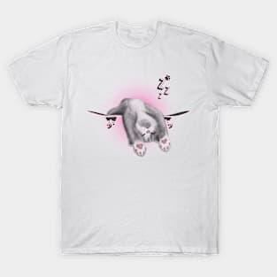 Skateboarding Cat T-Shirt